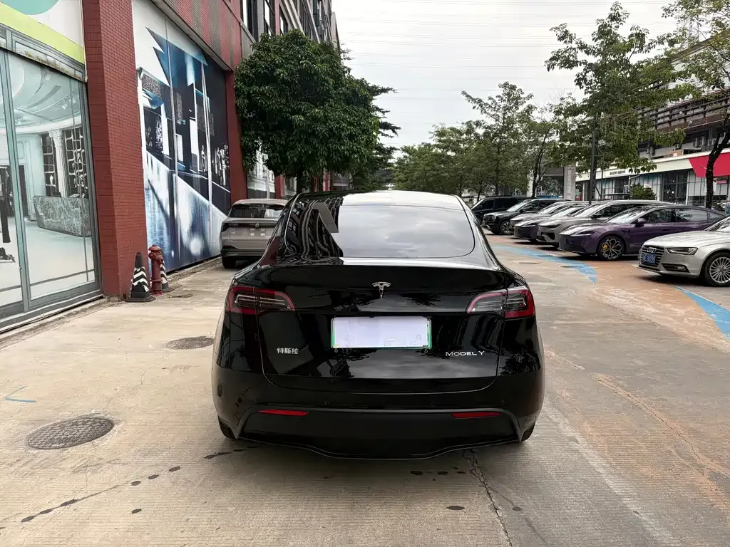 Tesla Model Y — фото 6