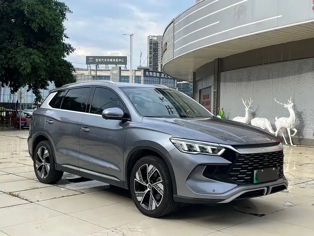 BYD Pro New Energy — фото 4