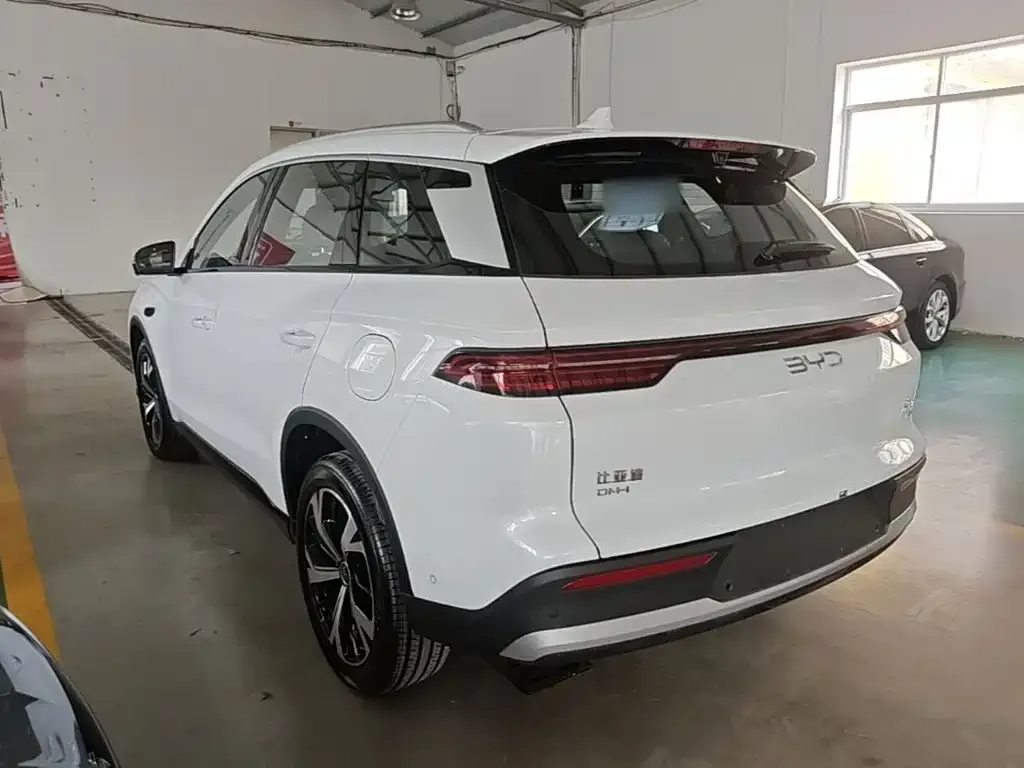 BYD Pro New Energy — фото 6