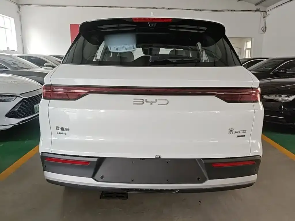 BYD Pro New Energy — фото 3
