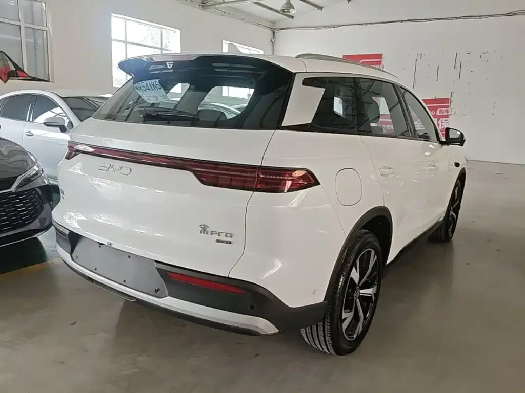 BYD Pro New Energy — фото 10