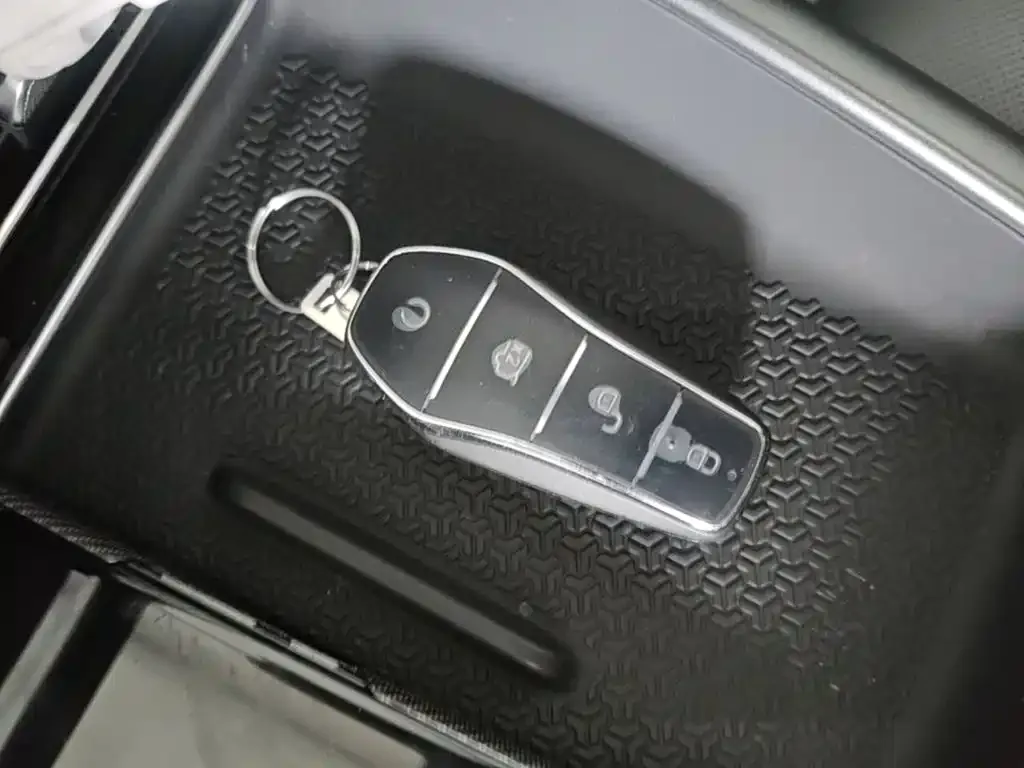BYD Pro New Energy — фото 4