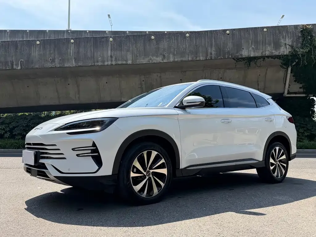 BYD PLUS New Energy — фото 1