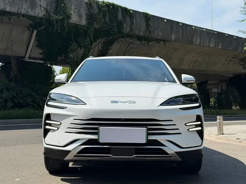 BYD PLUS New Energy — фото 6