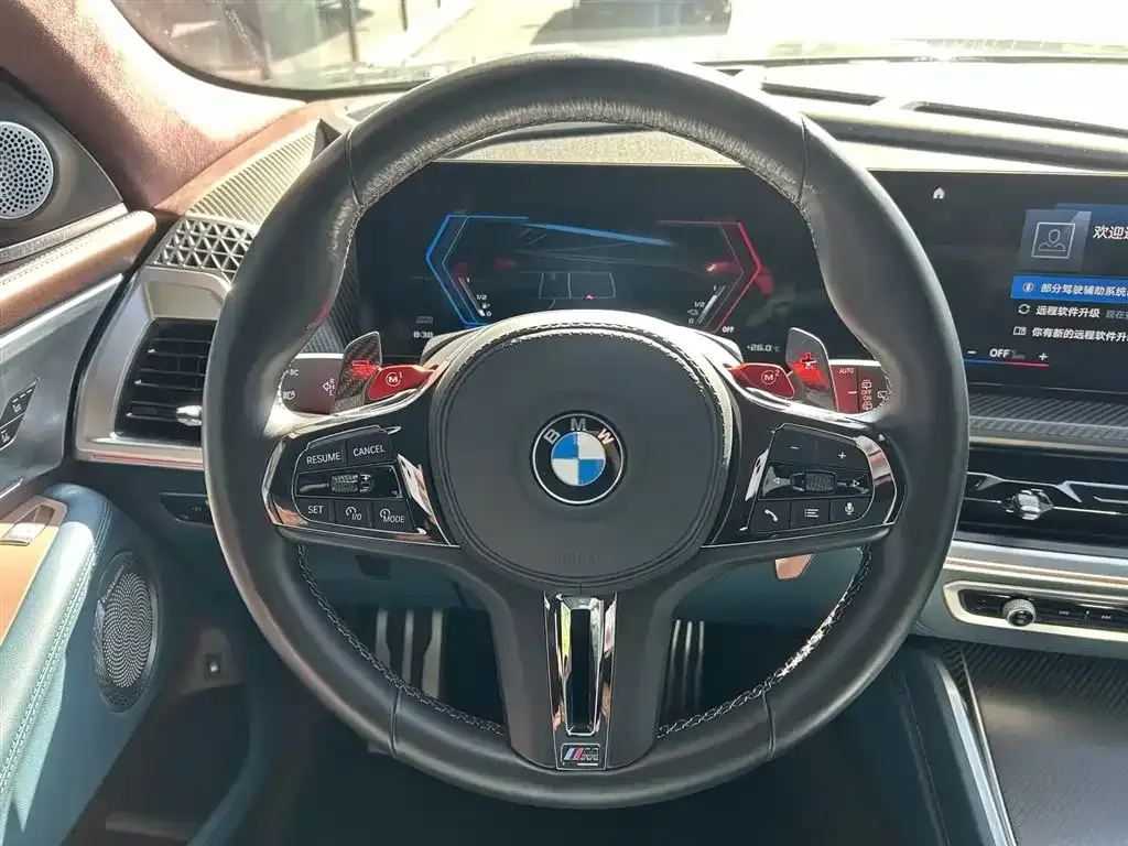 BMW XM — фото 9
