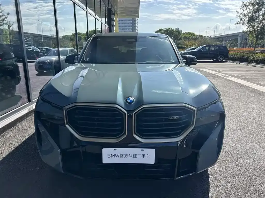 BMW XM — фото 6