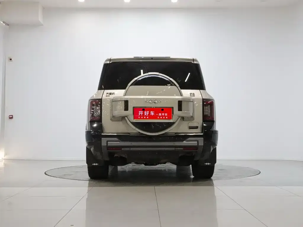 Fang Cheng Bao Leopard 8 — фото 6