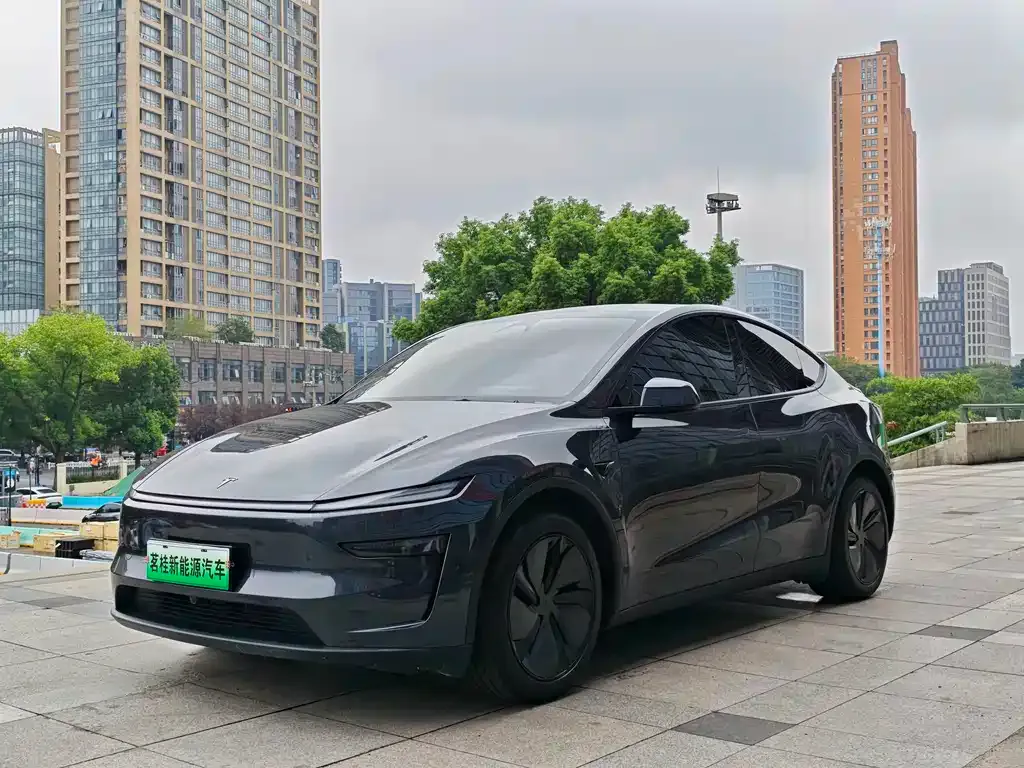 Tesla Model Y — фото 1