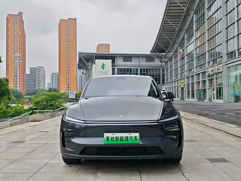 Tesla Model Y — фото 3
