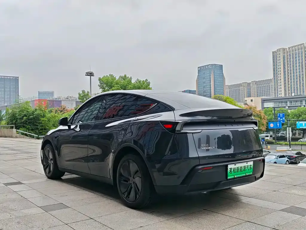 Tesla Model Y — фото 2