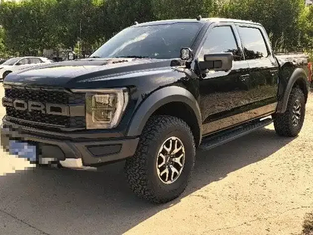 Ford F-150 Raptor — фото 1