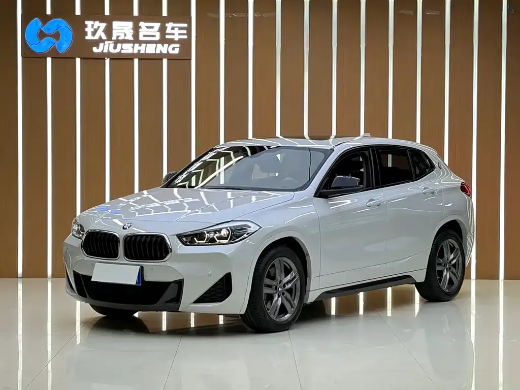 BMW X2 — фото 1