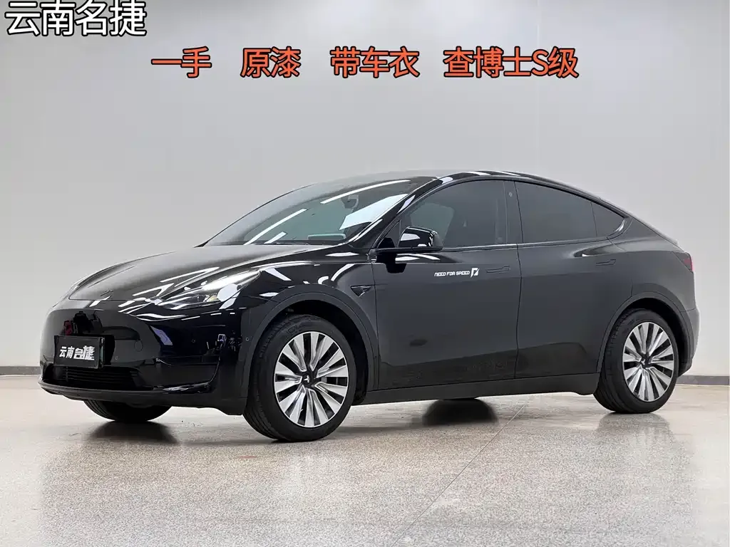 Tesla Model Y — фото 1