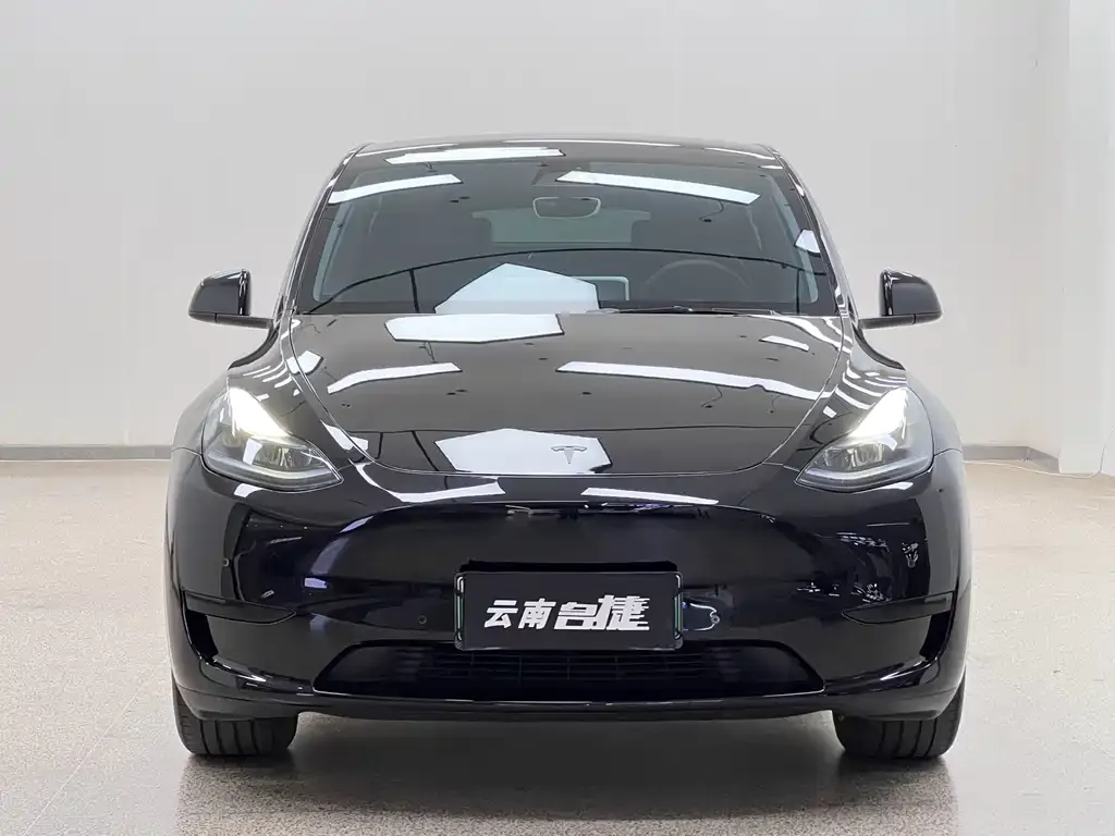 Tesla Model Y — фото 5