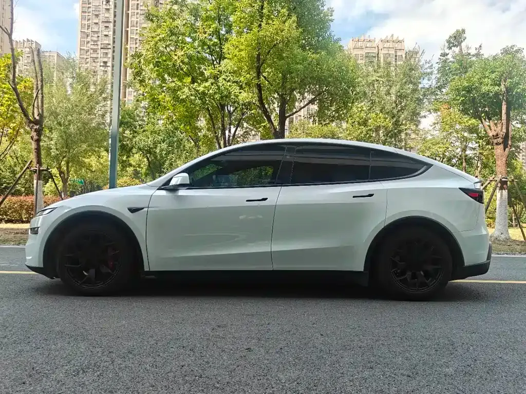 Tesla Model Y L — фото 9