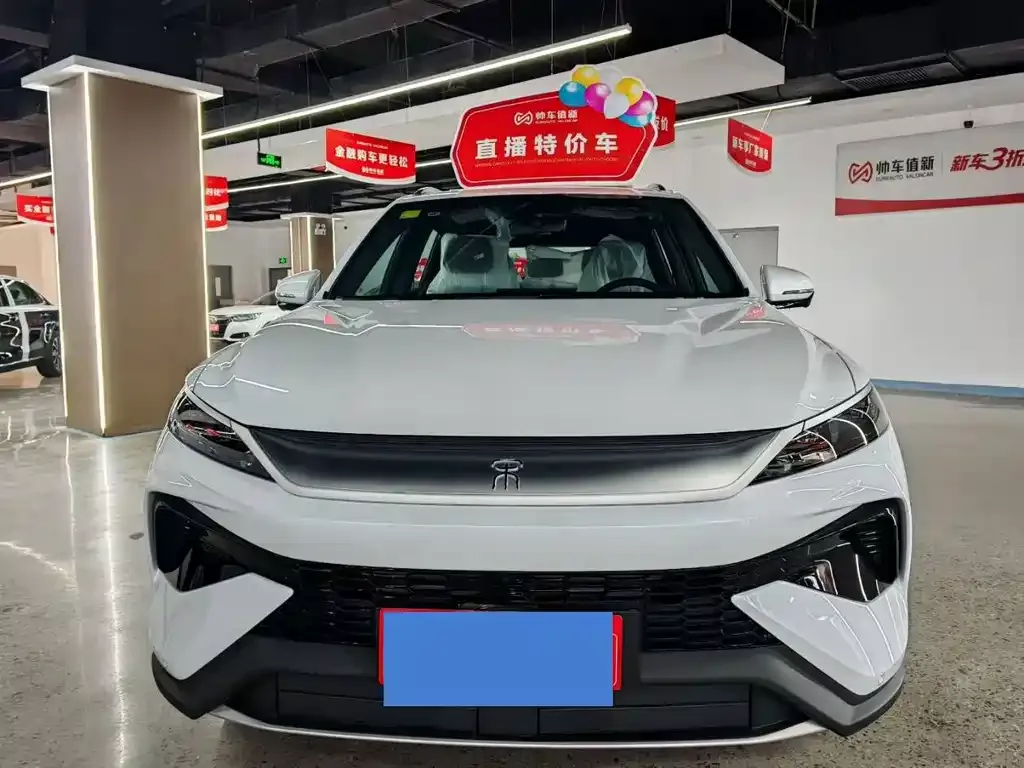 BYD Pro New Energy — фото 6