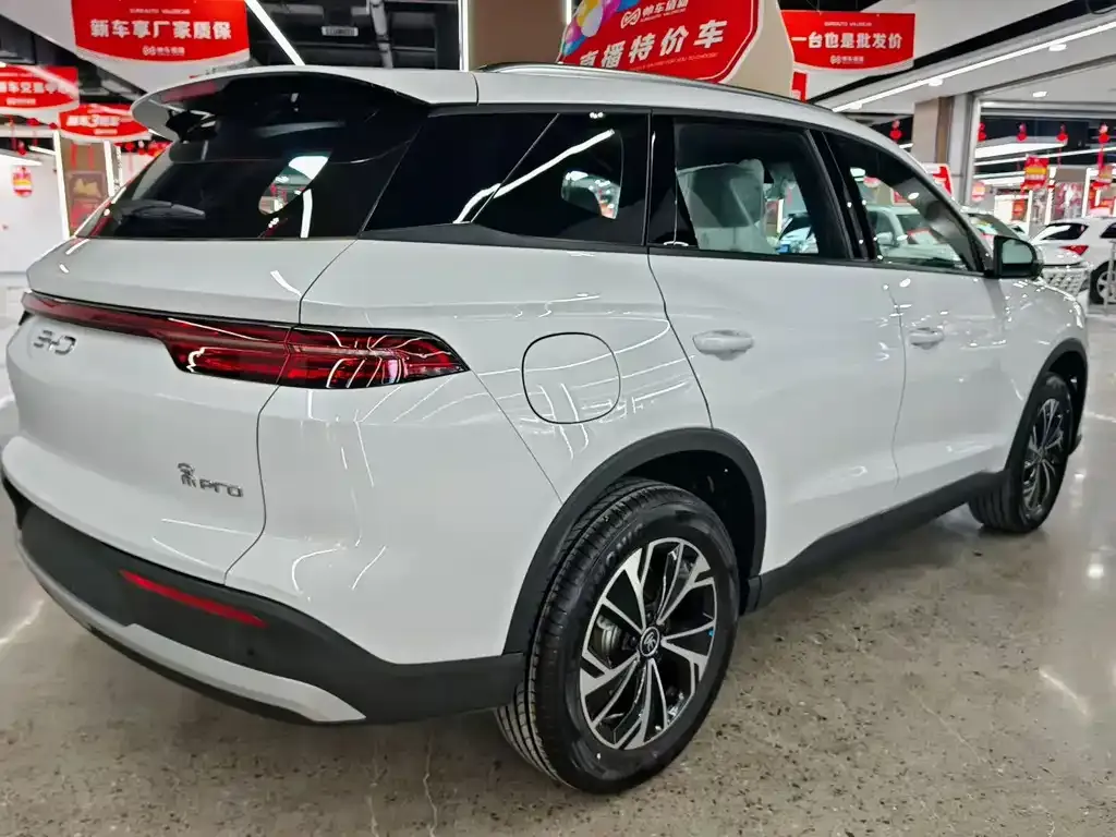 BYD Pro New Energy — фото 7