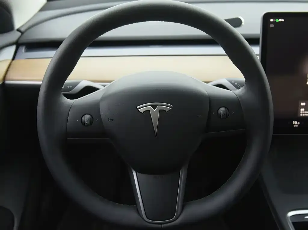 Tesla Model 3 — фото 4
