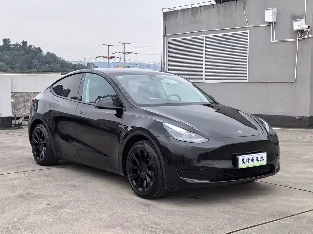 Tesla Model Y — фото 4