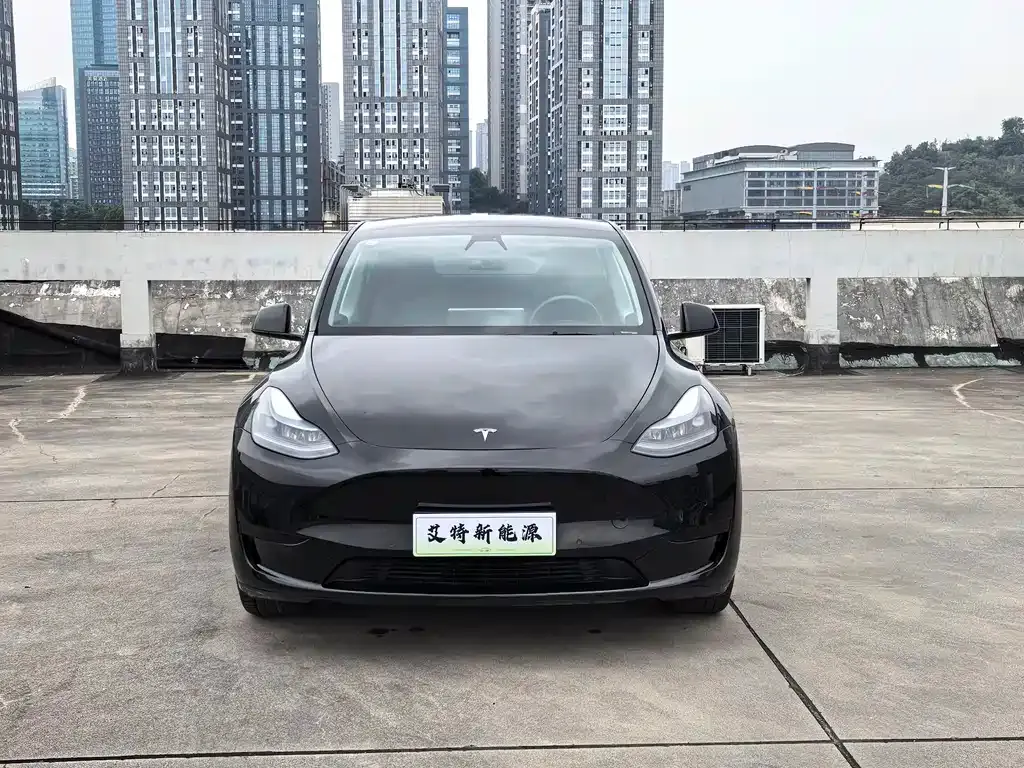 Tesla Model Y — фото 9