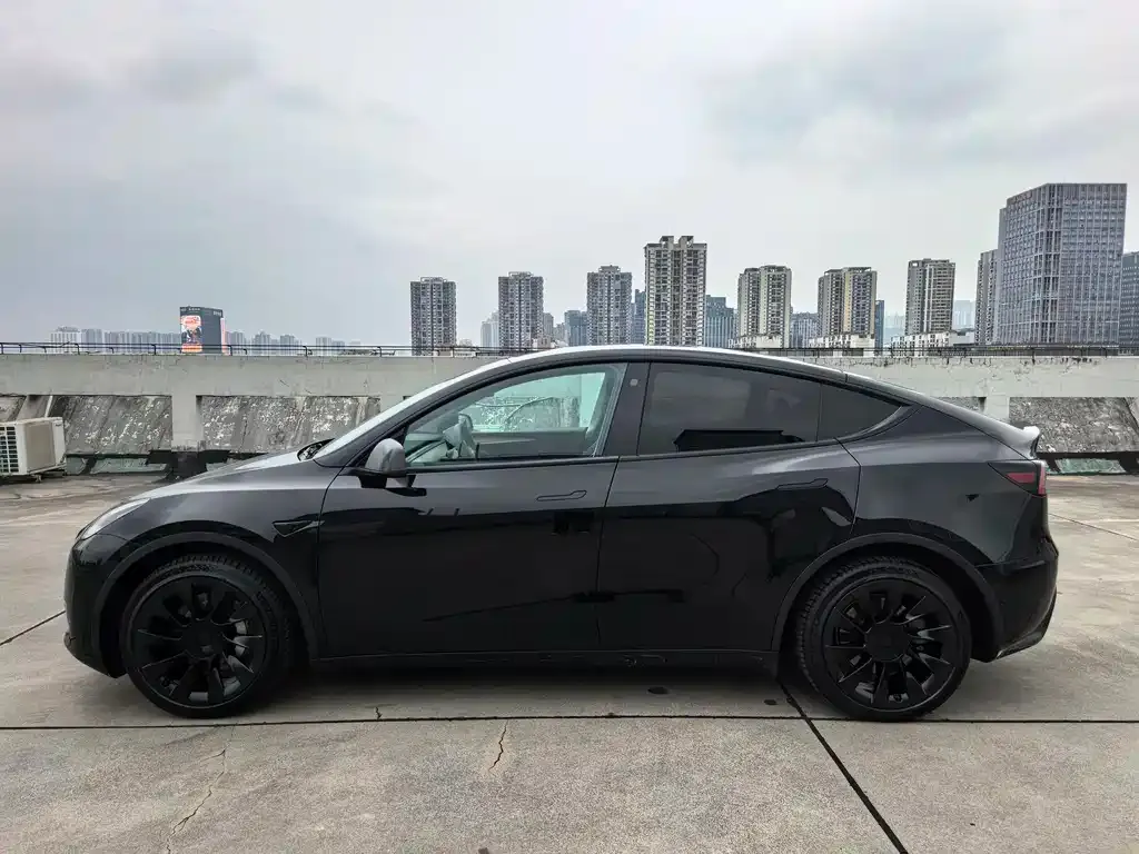 Tesla Model Y — фото 8