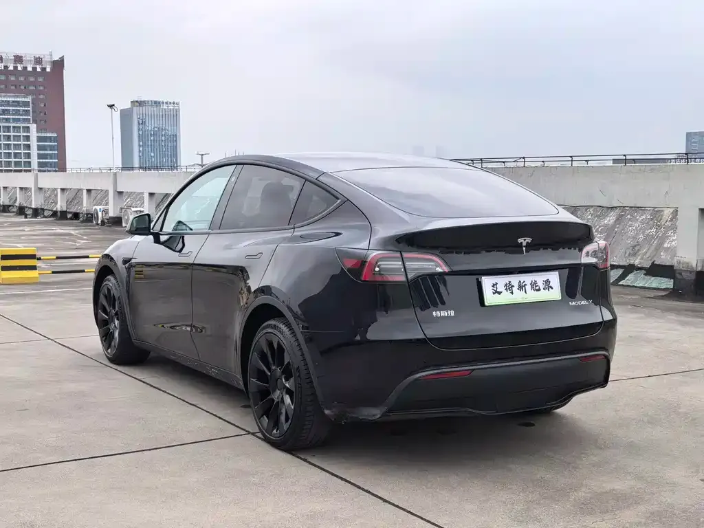 Tesla Model Y — фото 5