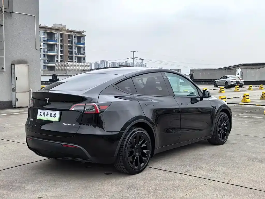 Tesla Model Y — фото 10