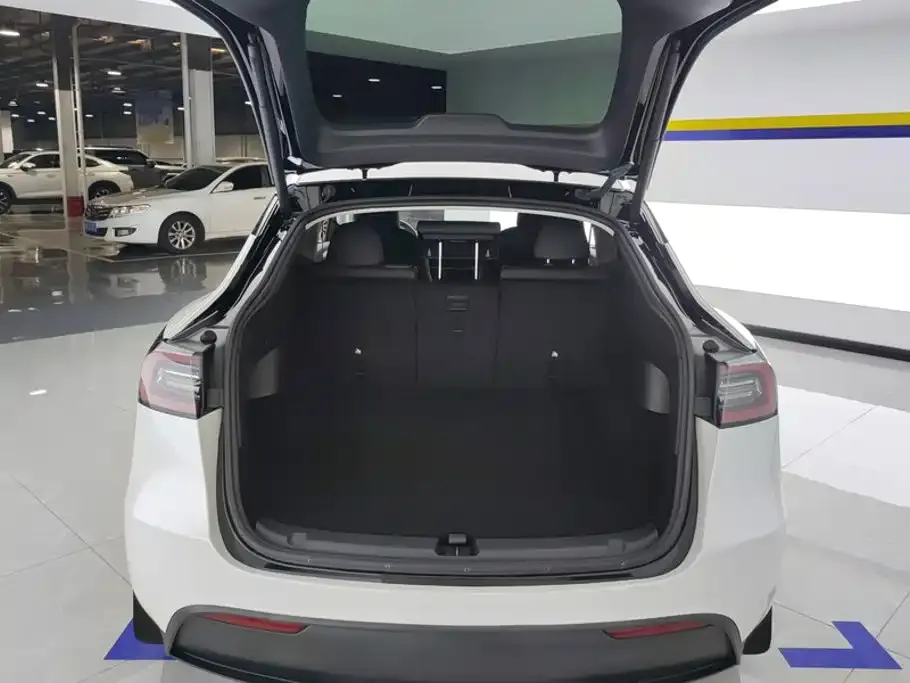 Tesla Model Y — фото 3