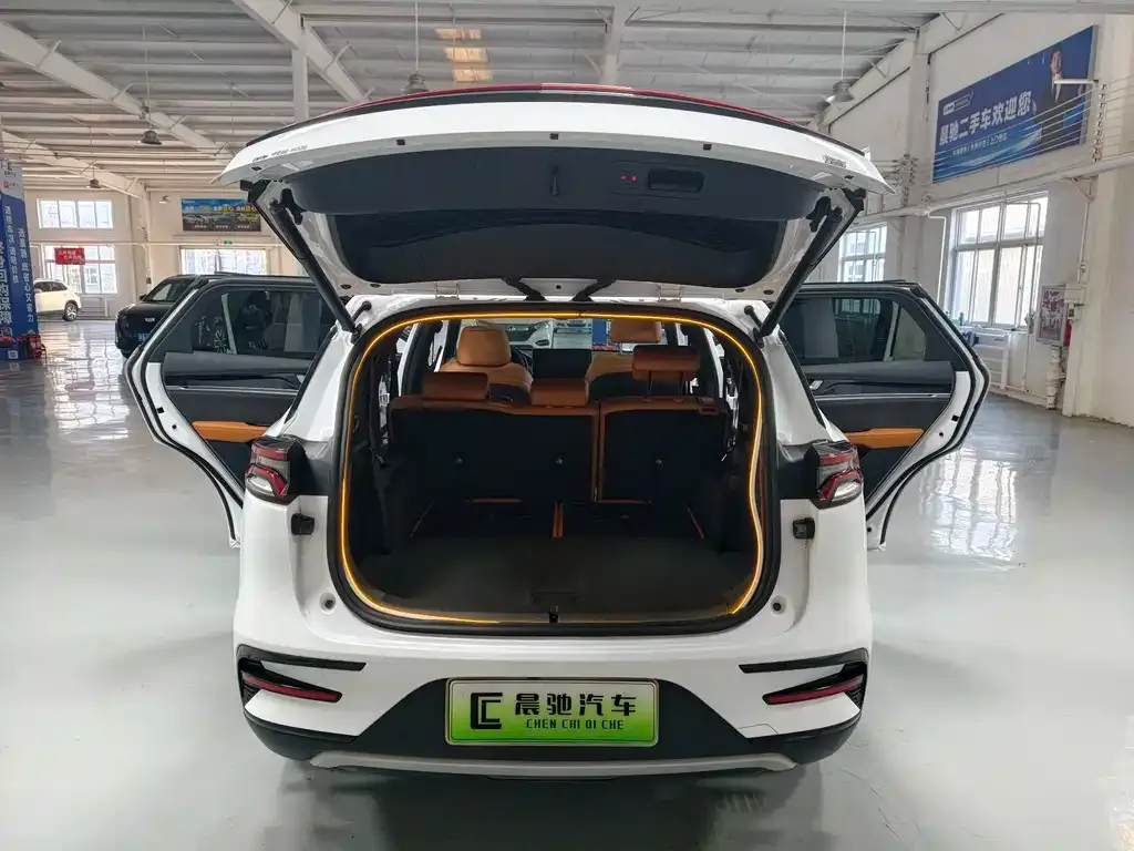 BYD Tang New Energy — фото 10
