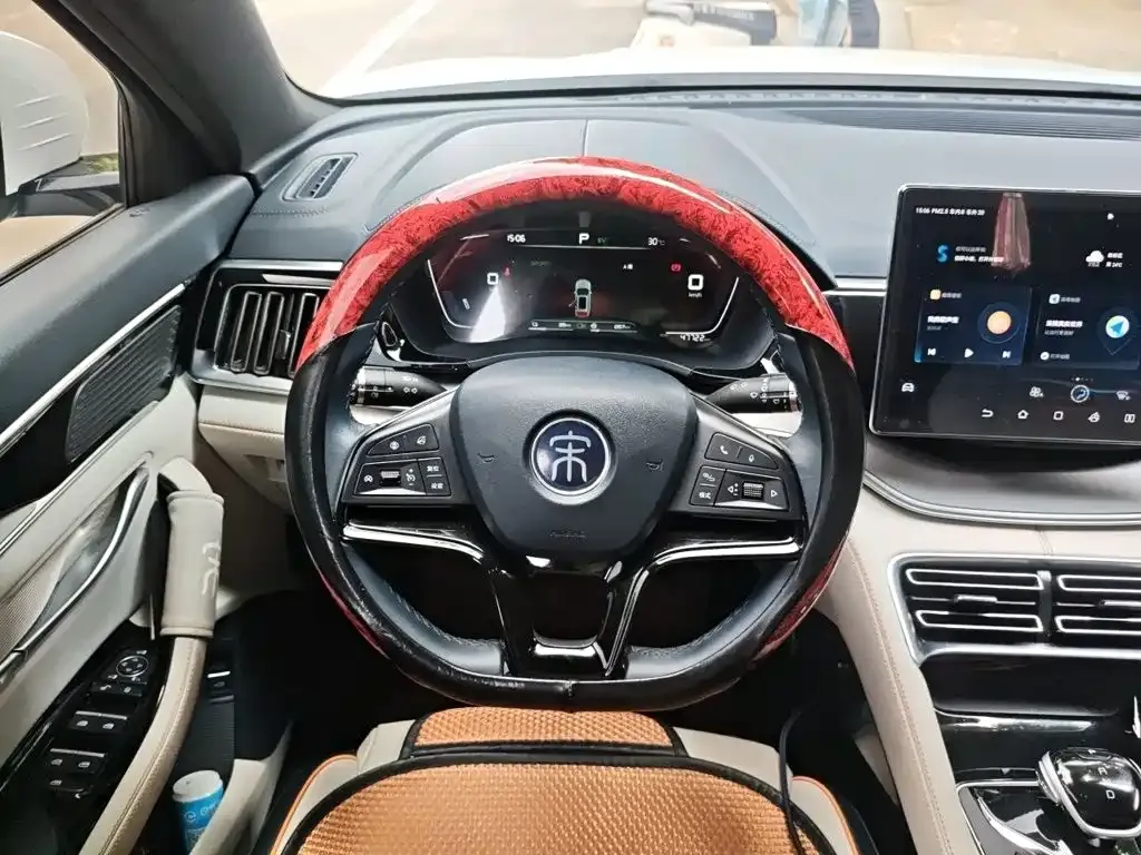BYD PLUS New Energy — фото 10