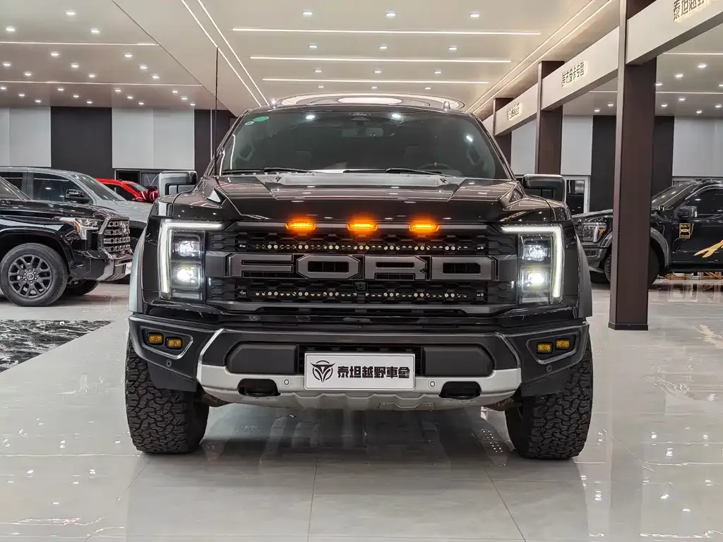 Ford F-150 Raptor — фото 8