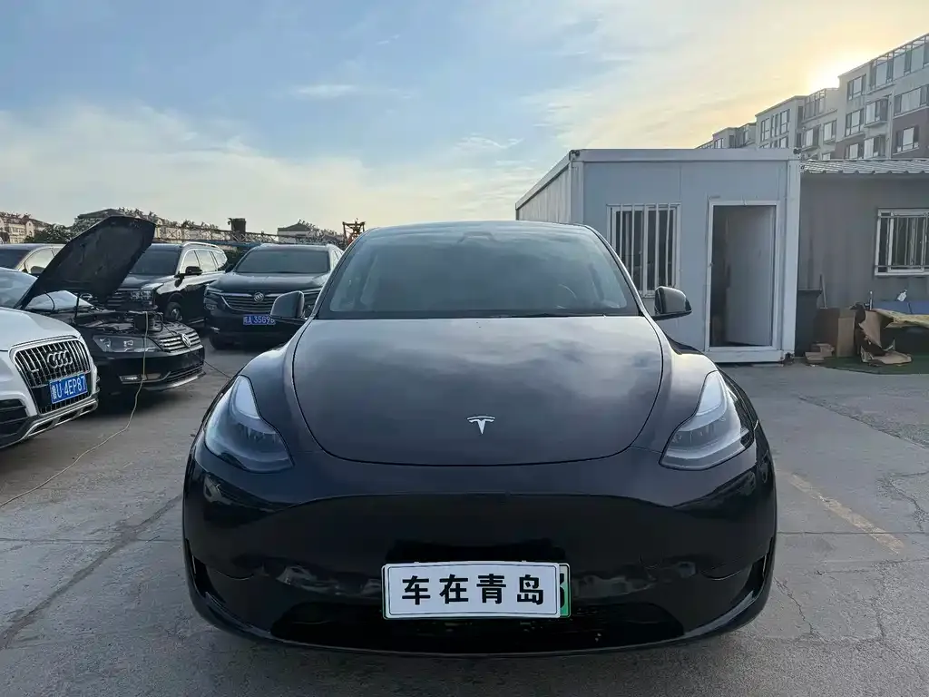 Tesla Model Y — фото 10