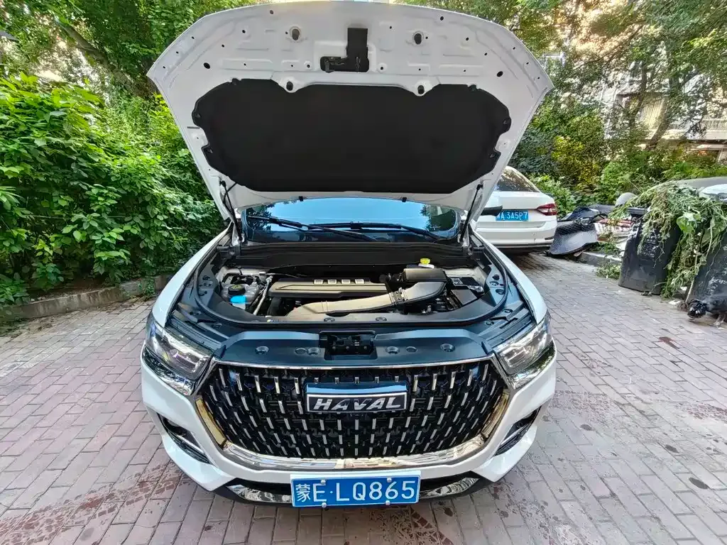 Haval H6 — фото 5