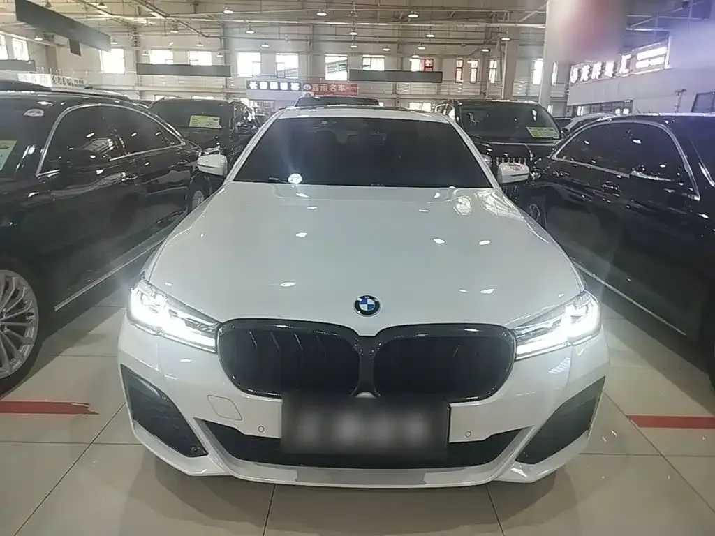 BMW 5 Series New Energy — фото 2