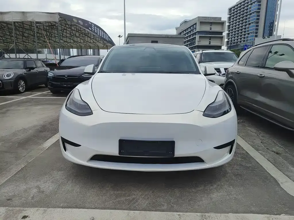 Tesla Model Y — фото 1