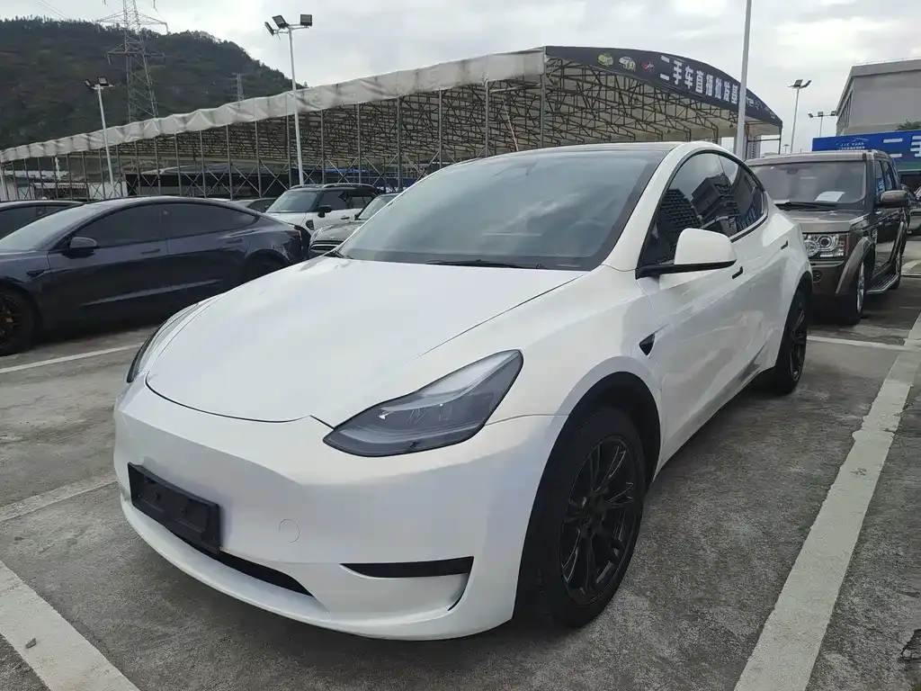 Tesla Model Y — фото 2