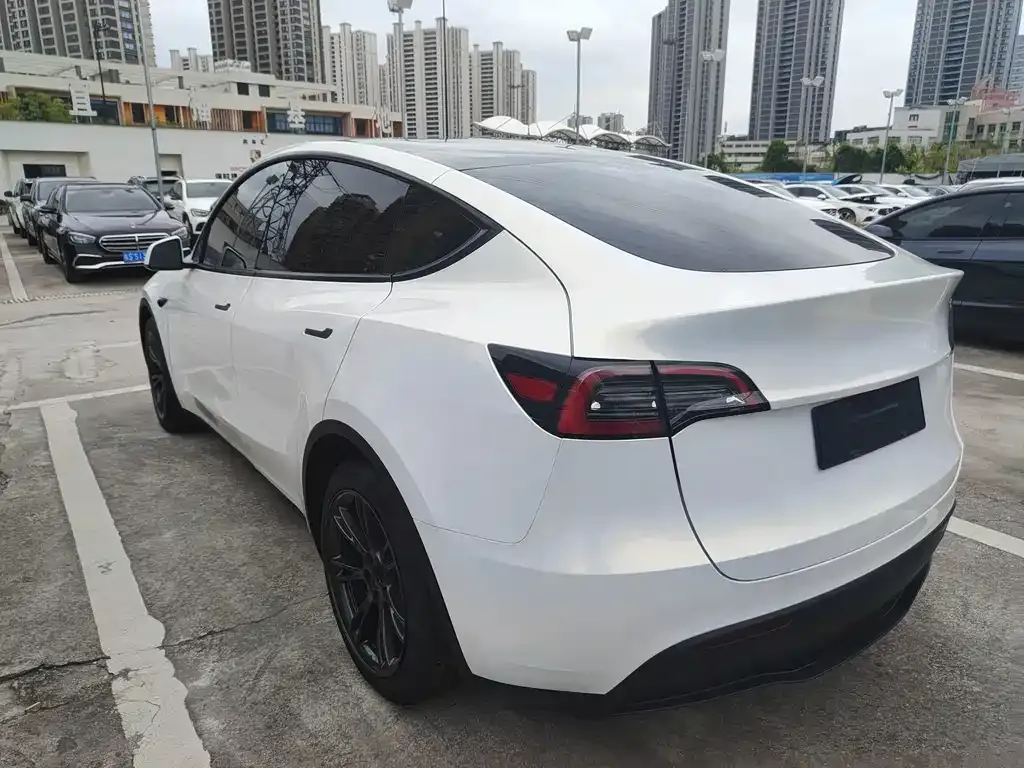 Tesla Model Y — фото 10