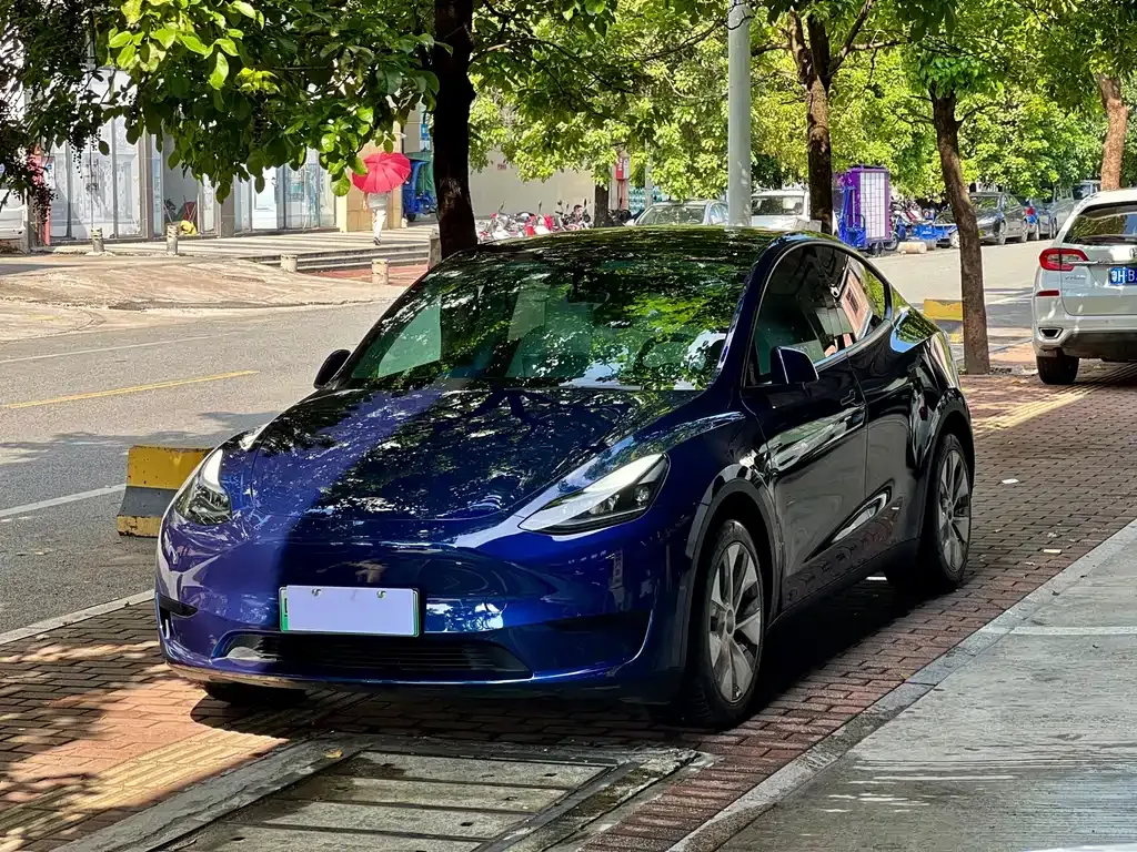 Tesla Model Y — фото 1