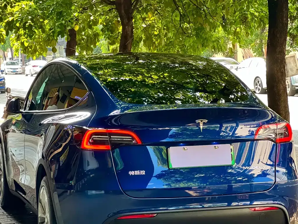 Tesla Model Y — фото 9