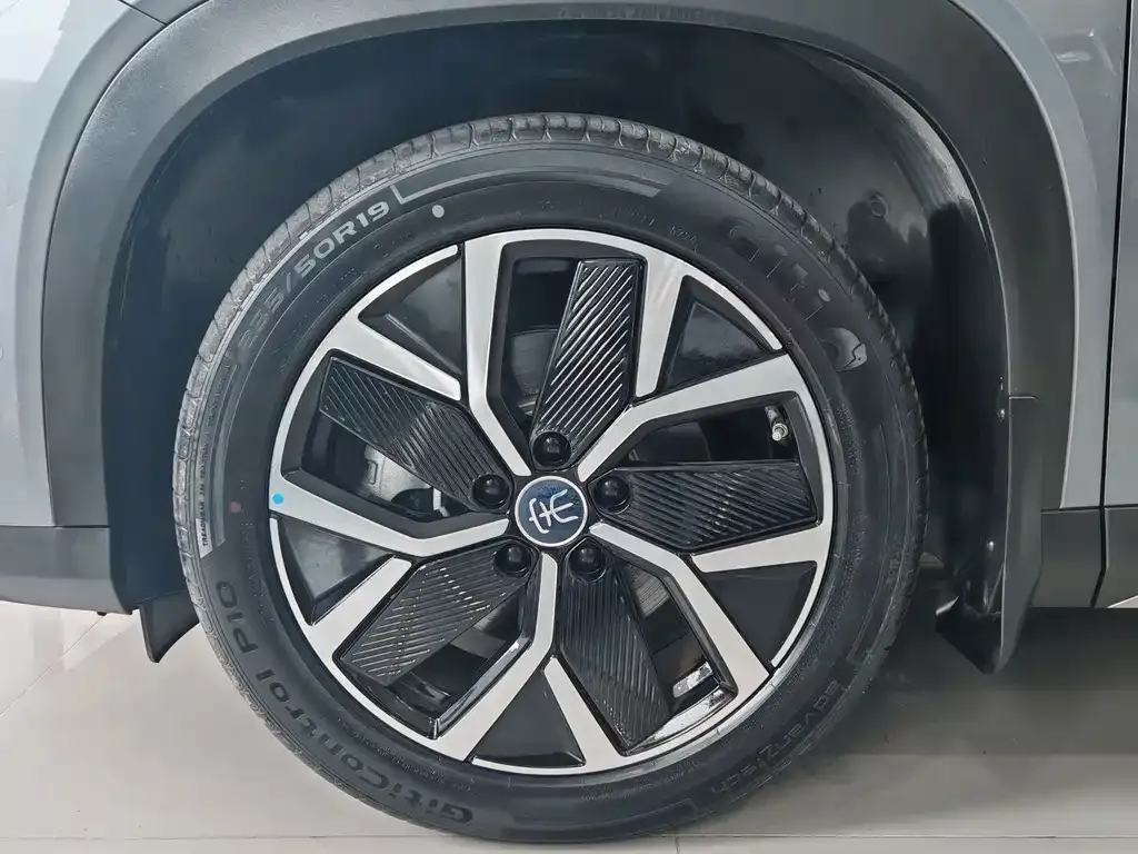 BYD L DM-i — фото 10