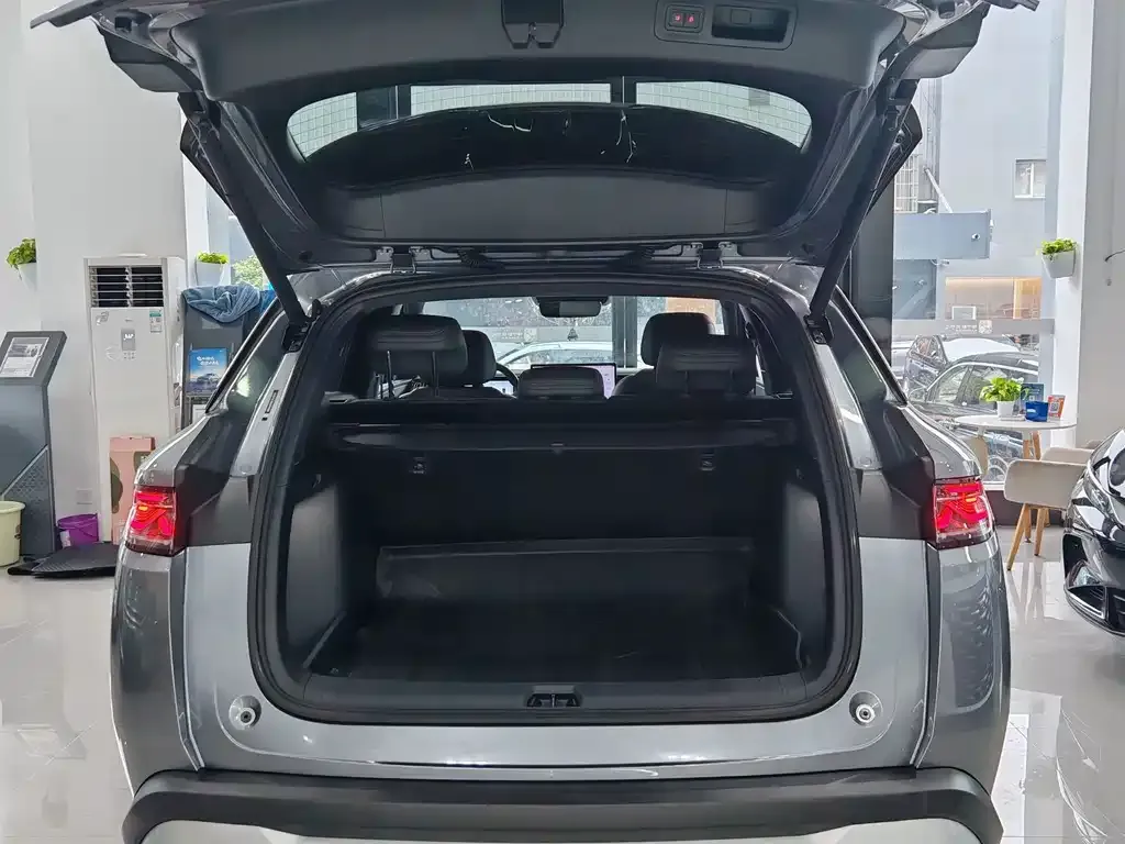 BYD L DM-i — фото 4