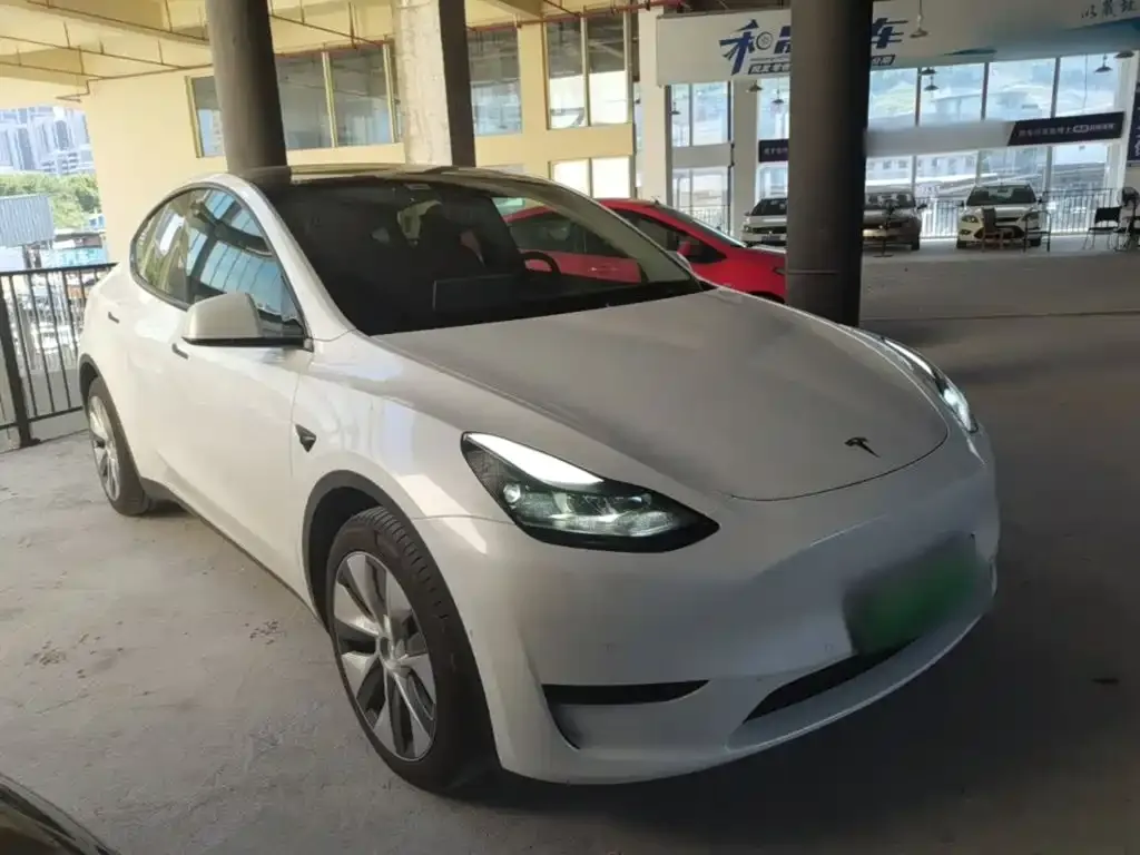 Tesla Model Y — фото 2