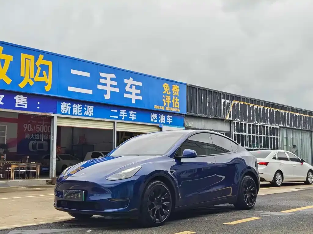 Tesla Model Y — фото 1