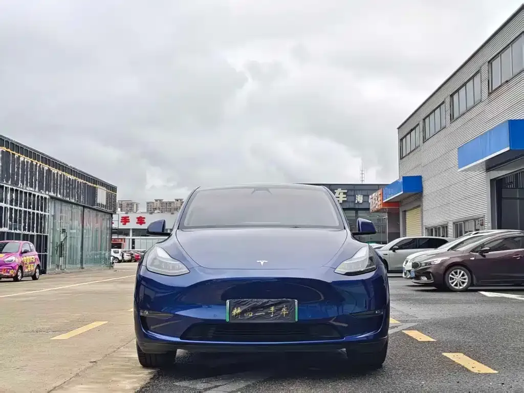 Tesla Model Y — фото 2