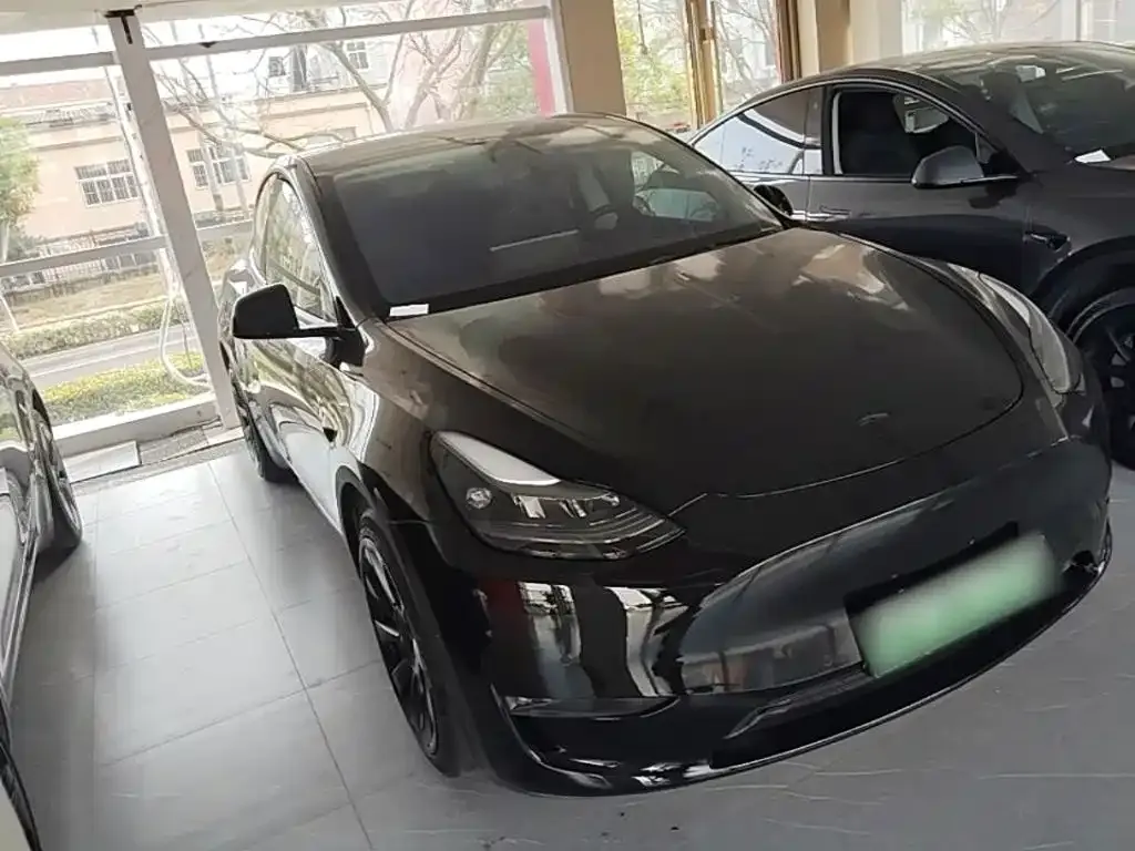 Tesla Model Y — фото 5
