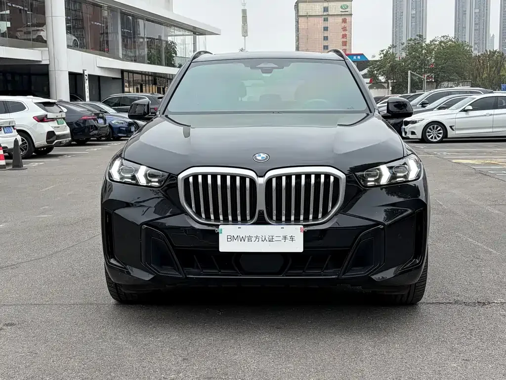 BMW X5 — фото 10
