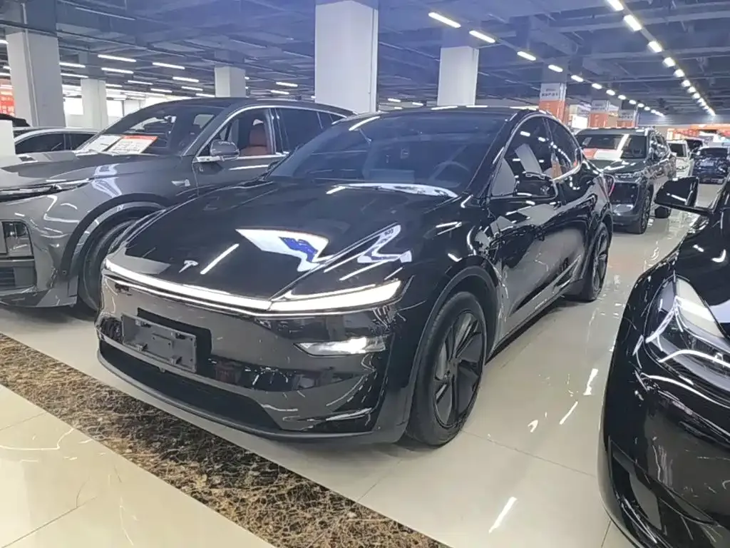 Tesla Model Y — фото 6