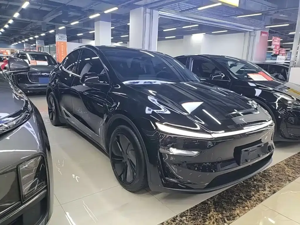 Tesla Model Y — фото 5