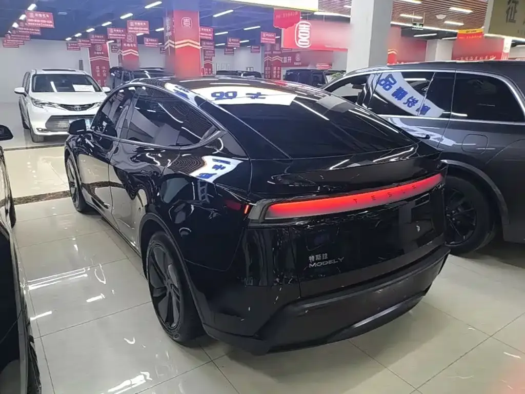 Tesla Model Y — фото 10