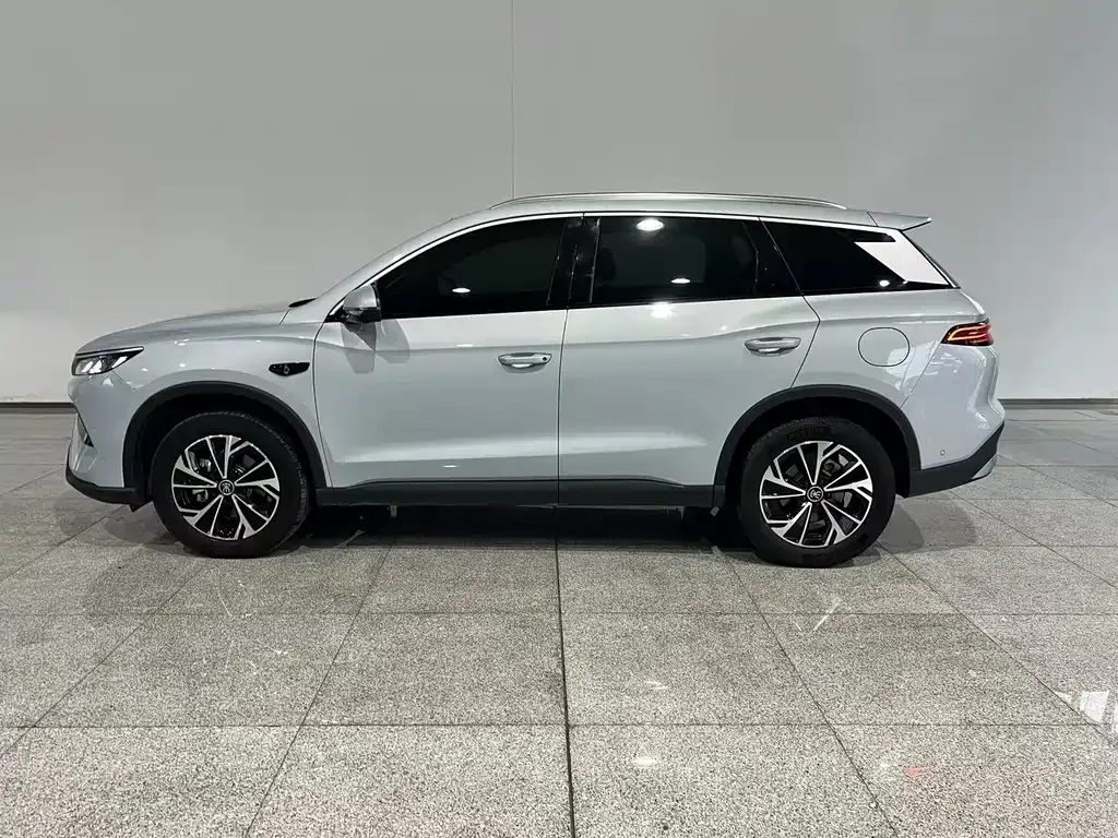 BYD Pro New Energy — фото 6